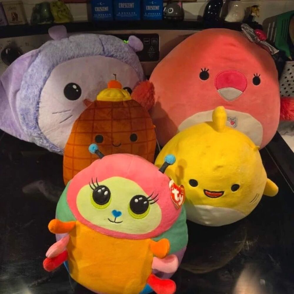Squishmallows and Ty Plush Toy Bundle